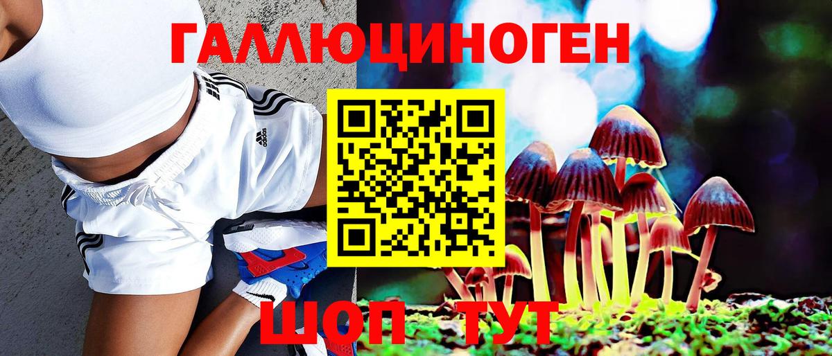 Галлюциногенные грибы GOLDEN TEACHER Кашира