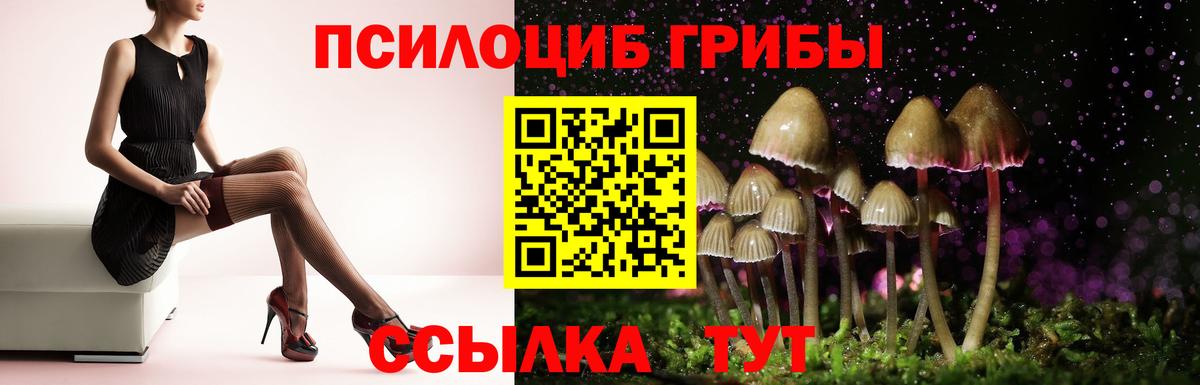 Псилоцибиновые грибы мухоморы  Псилоцибиновые грибы Psilocybine cubensis  Вход с VPN  Кашира 